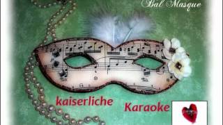 Die Irrenhausballade  Nichtsnichts gar nichts  Elisabeth Musical Karaoke [upl. by Pinsky]