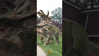 Sinoceratops teamjurassic jurassicworld dinosaur jurrassic [upl. by Annet926]