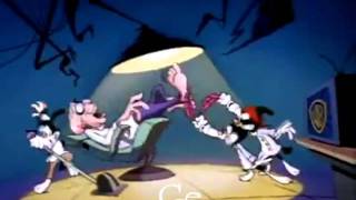 Animaniacs Multilanguage Intro [upl. by Loziram]