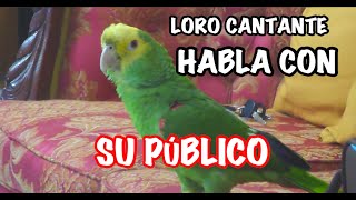 LORO CANTANDO HABLA CON SU PUBLICO [upl. by Aile]