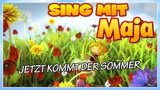 Sing mit der Biene Maja ✿ Jetzt kommt der Sommer ✿ [upl. by Ellehcer]