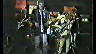 The Downliners Sect Live 1994 [upl. by Mahmoud]