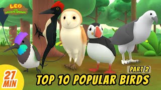 Top 10 Popular Birds Minisode Compilation Part 22  Leo the Wildlife Ranger  Animation [upl. by Atiseret]