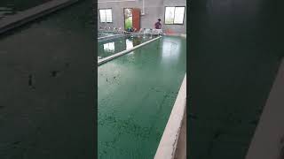 Indoor Spirulina Cultivation Maharashtra India  918275369998 [upl. by Rimidalv]