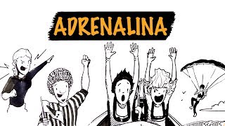 O Que a Adrenalina Faz por Você  Autoridade Fitness [upl. by Desma]