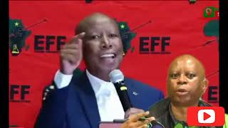 Julius Malema EFF Vs Herman Mashaba ActionSA About stuttering😂😂 [upl. by Blim373]