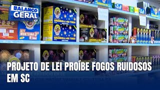 Projeto aprovado proíbe fogos de artifício ruidosos em SC [upl. by Luciana563]