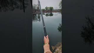 2 in 1 Fishing Rod  MT fishing fishing cauca mtfishing fishingvideo [upl. by Ener]