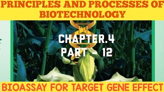 12th biobotany chapter4 Principles And Processes Of BiotechnologyBIOASSAY FOR TARGET GENE EFFECT [upl. by Liu318]