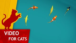 Cat Games  Pond Full of Fish Cat video for big screens [upl. by Marcell]