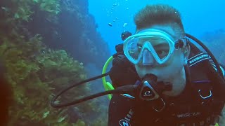 Rottnest Island Dive 1  Crusing through the valleys below amp close up with a big leatherjacket fish [upl. by Tabby]