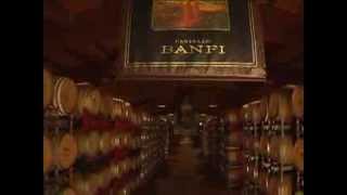 Montalcino Harvest 2007 [upl. by Laersi]