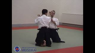 Aikido Suwariwaza Shomen Uchi Gokyo Shishiya Sensei Sandviken 2002 [upl. by Aneri]