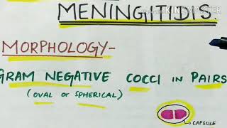 NEISSERIA MENINGITIDIS [upl. by Fine]