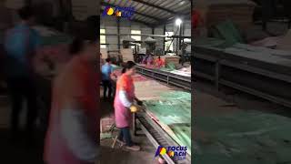 Film faced plywood forming line machine wood plywood plywoodmachine [upl. by Loredo]