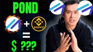 CEO BINANCE Confirmed Marlin POND Is Next BITCOIN PRICE PREDICTION 2022 [upl. by Kariotta]