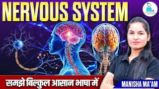 Nervous system in hindi  Neuron Types  Sensory amp motor neuron  Structure and function [upl. by Ailicec]