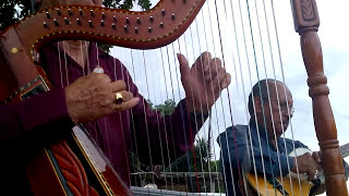 SON JAROCHO EL BALAJU SON VERACRUZANO ARPA JAROCHA REQUINTO JAROCHO JARANA JAROCHA VERACRUZ [upl. by Selwin]