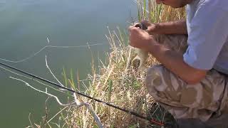 Fishing Balkhash lake Kazakhstan Рыбалка на Балхаше жерех [upl. by Lillith]