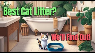 What Makes PRETTY LITTER So POPULAR Among Cat Owners [upl. by Tnilk]