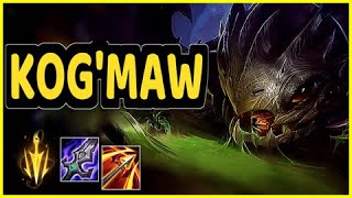 KOGMAW ADC HIGHLIGHTS [upl. by Eniowtna685]