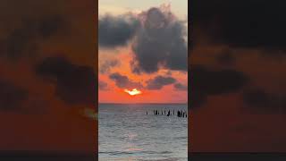 Beach view🌅 sunrise pondicherry rockbeachpondicherry viewpoint morningvibes nature beachwalk [upl. by Boniface102]