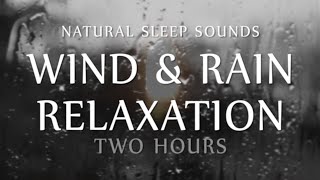 Wind and Rain Relaxation Two Hours Natural Sleep Sounds White Noise for Sleep Study Meditation [upl. by Elatnahc]