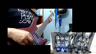 Bass Preamp Circuits Baja Ampeg SVT vs Sansamp VT Bass Kits Dapia [upl. by Semadar183]