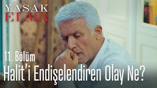 Haliti endişelendiren olay ne  Yasak Elma 11 Bölüm [upl. by Manuela178]