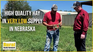 High quality hay in very short supply due to storms untimely rain  Fridays in the Field  Ep 16 [upl. by Moynahan]