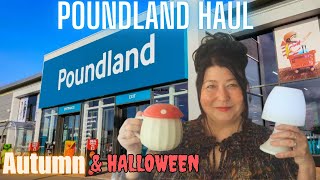 NEW IN  POUNDLAND HAUL 🍄🍂 [upl. by Azilanna]