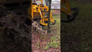 treecutting treecuttingservice didingmachine treedidingvideo treeremoval treedidingmachine [upl. by Voltz]