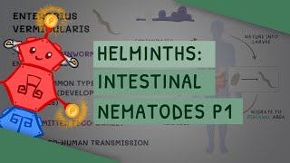 Helminths Intestinal Nematodes Part 1 features clinical importance diagnosis treatment [upl. by Ron]