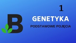 GENETYKA podstawowe pojęcia  GENOM genotyp ALLEL chromosom  KOREPETYCJE z BIOLOGII  186 [upl. by Rebbecca]