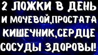 2 ЛОЖКИ В ДЕНЬ И МОЧЕВОЙ ПУЗЫРЬ ПРОСТАТА КИШЕЧНИК СЕРДЦЕ СОСУДЫ ЗДОРОВЫ [upl. by Nidnal]