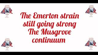 pigeon racing Jim Emerton Long distance Stichelbaut based racing pigeon strain [upl. by Enidan]