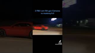 Camaros vs mustang Like and subscribe viralvideo car mustang camaro [upl. by Anaeda767]