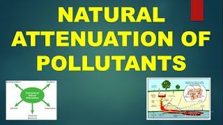 Natural Attenuation of environmental contaminants Contaminants Pollutants Bioremediation [upl. by Archle878]