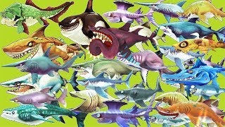 ALL SHARKS in Hungry Shark World [upl. by Leroj]