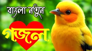 গজল 2024 নতুন ghazal ringtone gazal ringtone gojol ringtone notun ghazal islamic gojol gojol [upl. by Hussar]