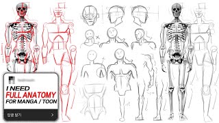 ✏️ REAL CLASS  FULL ANATOMY For MANGA  TOON ✏️ [upl. by Karwan]