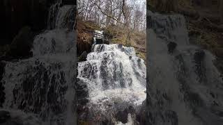 Birks of Aberfeldy After Storm Ashley waterfall scotland nature [upl. by Mixie]