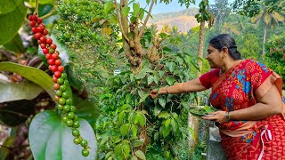 பச்ச மிளகு பறிச்சு அம்மா சட்னி அரைச்சு குடுத்தாங்க காரசாரமா இருந்துச்சு😍  Fresh Pepper Chutney [upl. by Anaihr72]