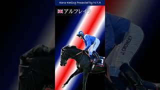 【2024英インターナショナルS】②注目馬＆穴馬～国内外オッズの乖離～ shorts 競馬 イギリスインターナショナルステークス2024 英インターナショナルステークス2024 [upl. by Rezzani]