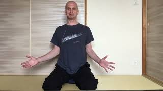 Invitation to online zazen and sitting instructions [upl. by Natalee]