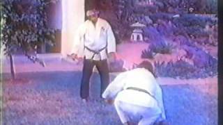 hanshi Tadashi Yamashitapart 5 of 10Suikendo Shorin Ryu Karate [upl. by Yelmene893]