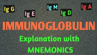 ImmunoglobulinCharacteristicsIg G Ig AIgMIgEIg DAntibody AntigenNEETtKVPYJEE Mneumonics [upl. by Dlopoel]