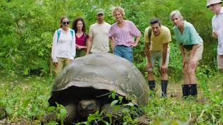 Videotorial Have it all with Celebritys new Galapagos Islands packages [upl. by Blen]