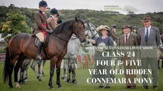 Class Twenty Four 4 amp 5 Year Old Ridden Connemara Pony  98th Annual Connemara Pony Show [upl. by Lorusso]