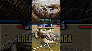 Titanoboa VS Green Anaconda snake anaconda titanoboa prehistoric paleontology shorts trending [upl. by Quintessa]